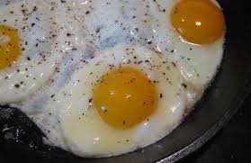 egg2