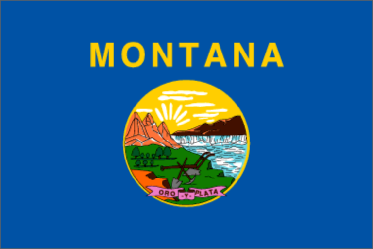 montana flag