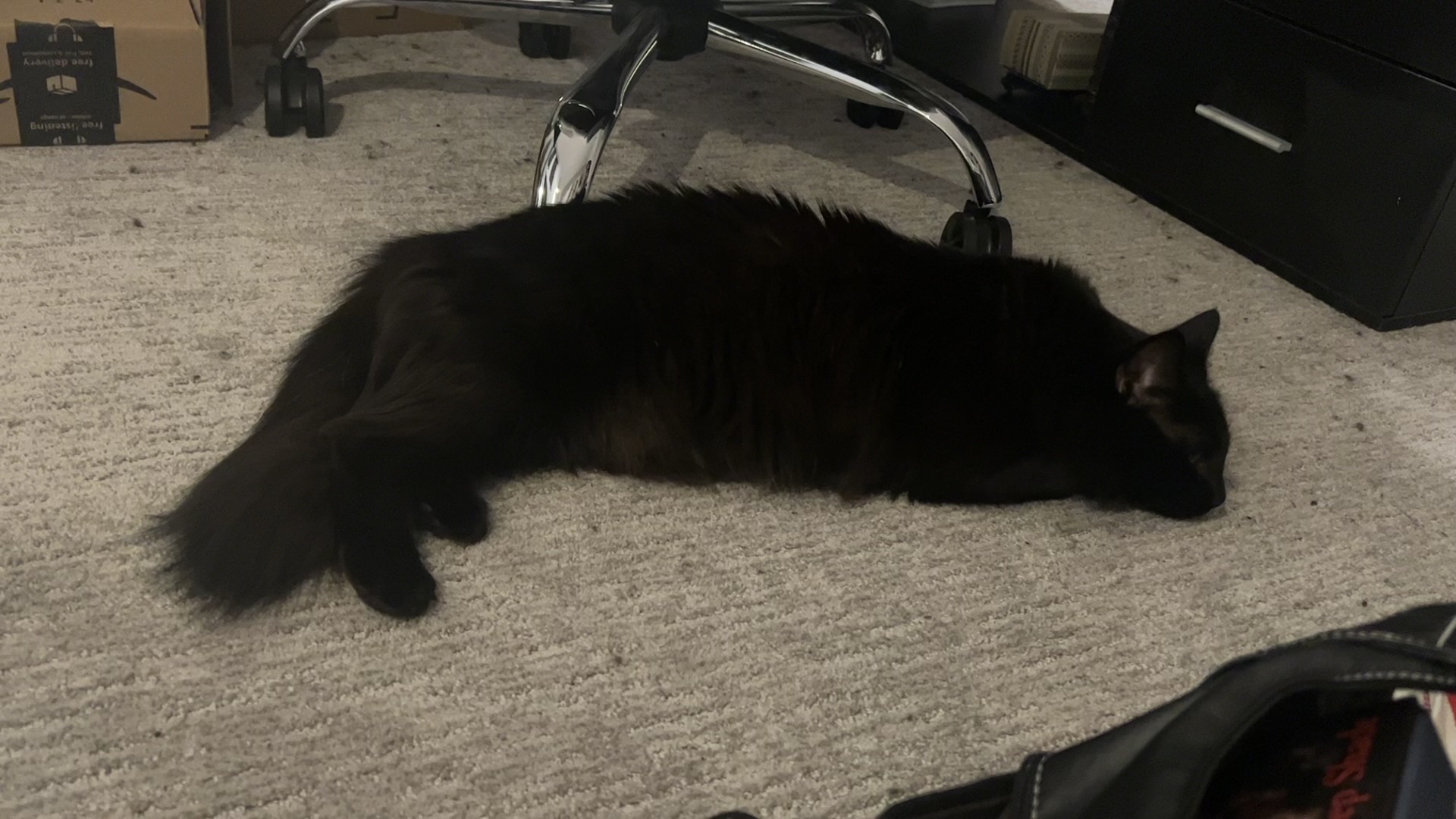 long soop