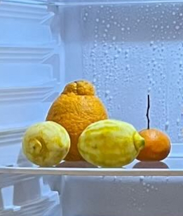 citrus fruits in the fridge