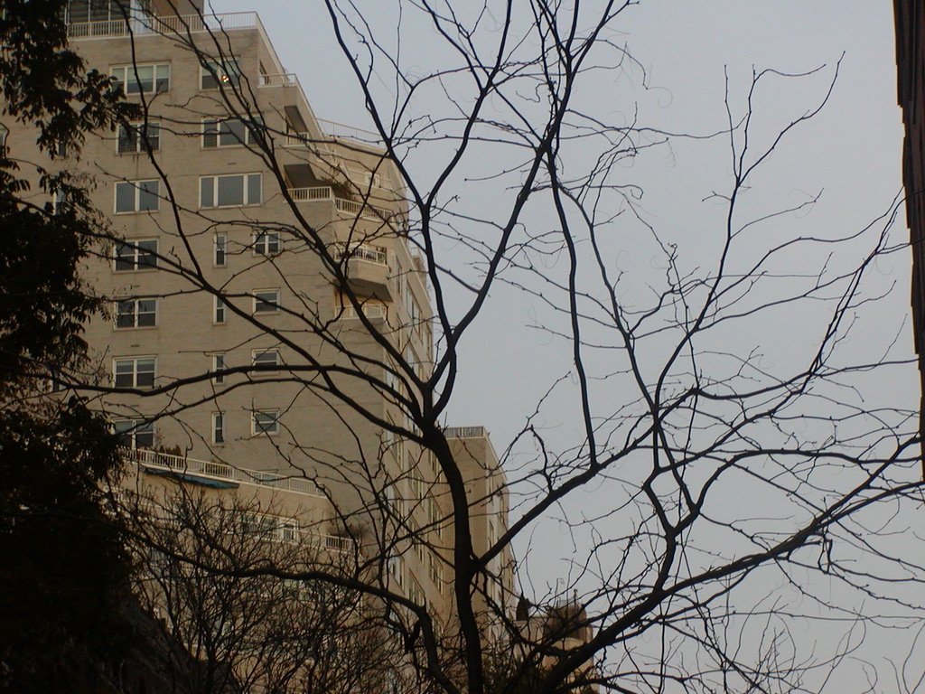 picture of buildings i took after class